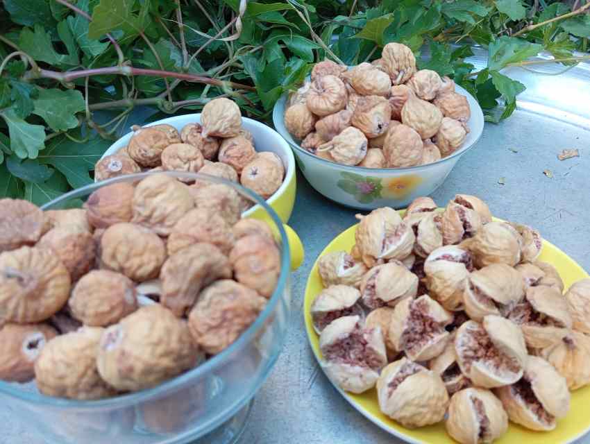 قیمت روزانه انجیر خشک + فروش نقدی